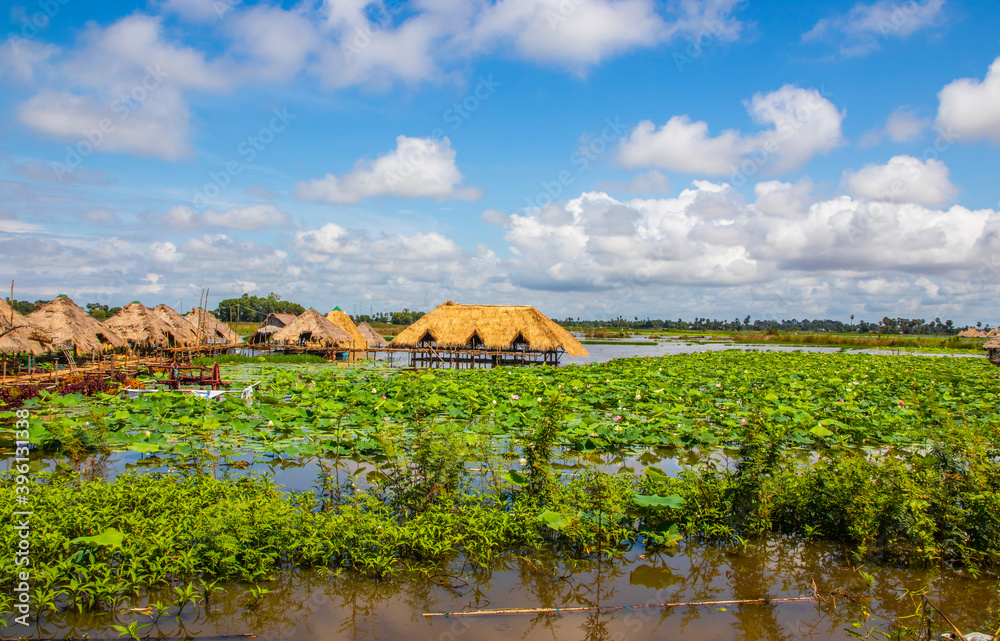 Φωτογραφία the Landscape, Plants, Flowers and Buildings of the Tonle sap Lake near Siem Rea