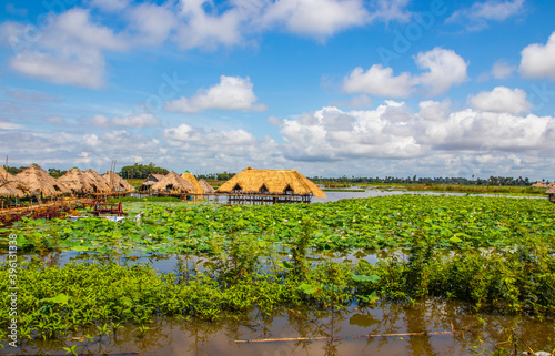 the Landscape, Plants, Flowers and Buildings of the Tonle sap Lake near Siem Reap in Cambodia Southeast Asia 