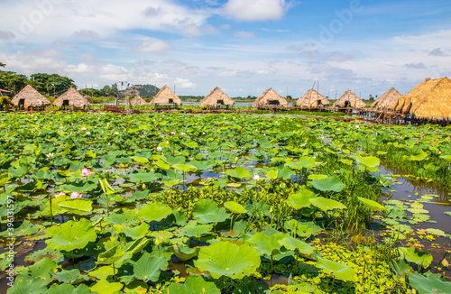 Tonle sap sea in Cambodia Asia