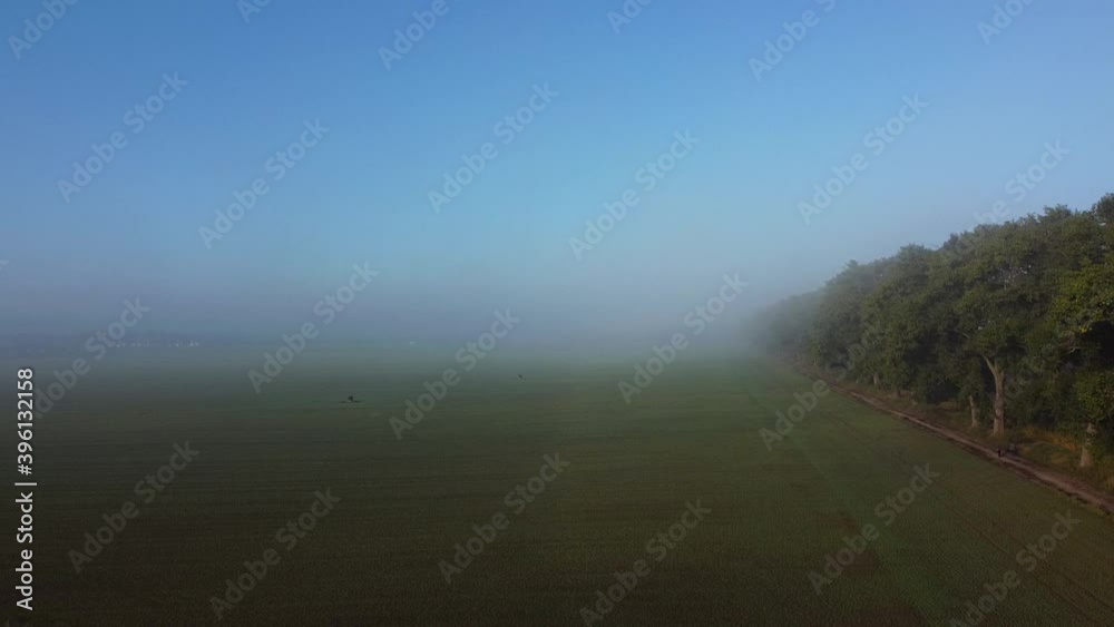 Diagonal aerial ascend from dirt road with line of poplars on its side and two people strolling on it, and over fields with winter cereals and patches of fog. Diagonal aerial ascend from dirt road with line of poplars on its side and two people strolling on it, and over fields with winter cereals and patches of fog.