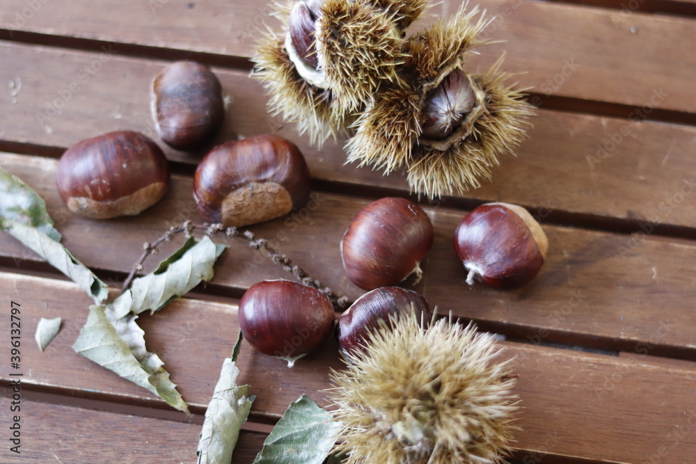 detail of chestnut leaves, with its chestnut fruits on wooden table.
dry leaves, spikes and branches. detail of chestnut leaves, with its chestnut fruits on wooden table.
dry leaves, spikes and branches.
