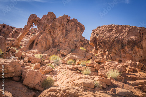 Elephant Rock in Valley of Fire State Park, Nevada, USA