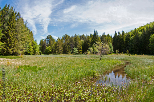 Agoraie oriented natural reserve, Ligurian Apennines, Italy.