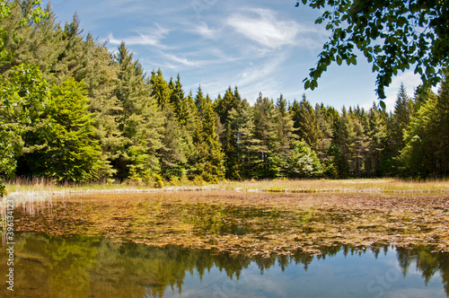 Agoraie oriented natural reserve, Ligurian Apennines, Italy.