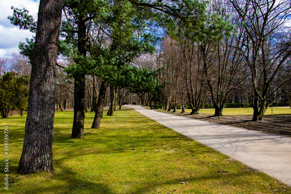 Beautiful green alley in spring on a sunny day. Beautiful green alley in spring on a sunny day.