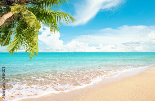 Coconut tree with sandy beach against blue sky and soft clouds Summer background concept