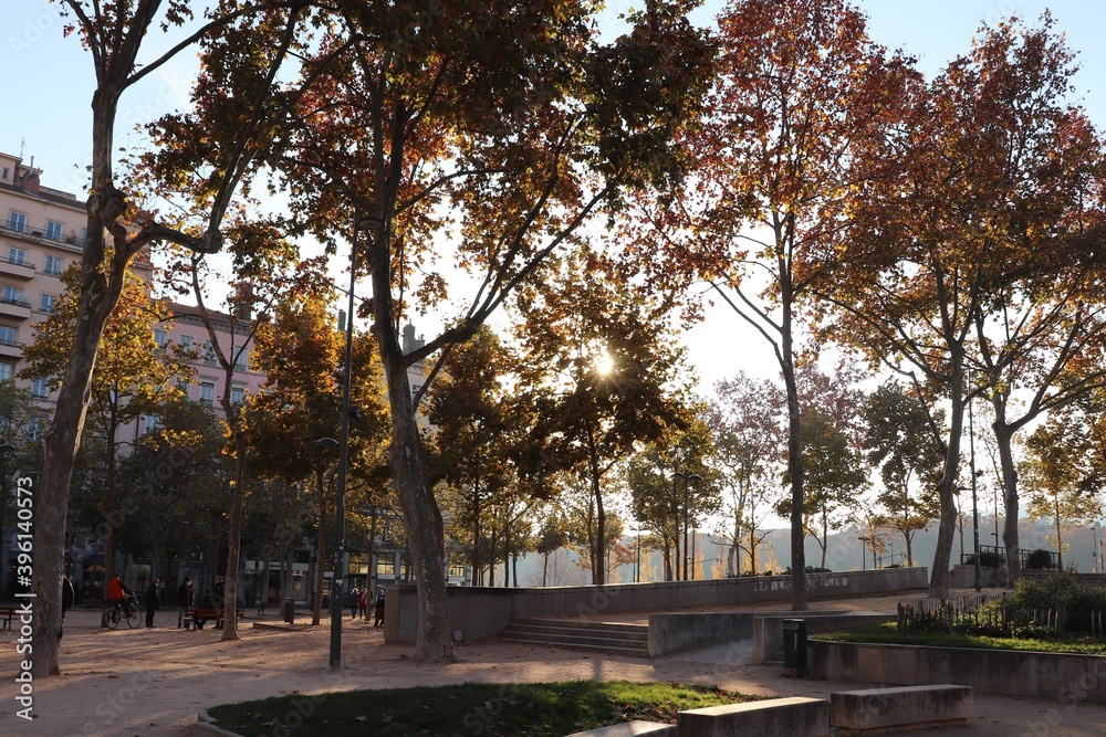 la place maréchal Lyautey à Lyon en automne et ses arbres, ville de Lyon, département du Rhône, France