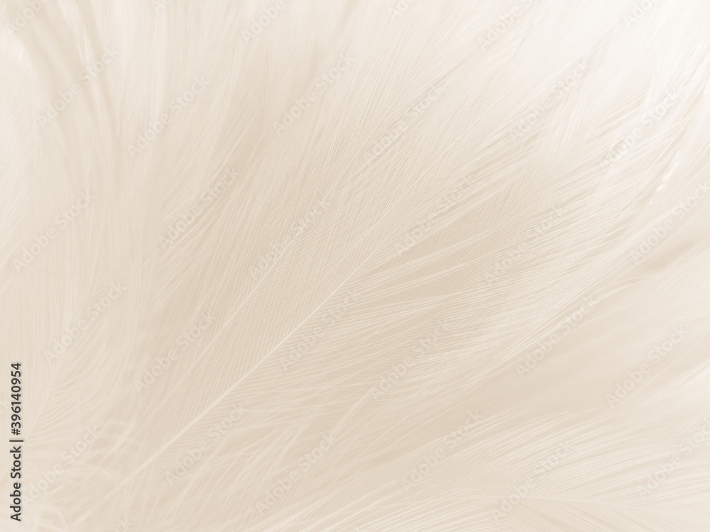 Beautiful abstract gray feathers on white background and soft white feather texture on white pattern and brown background, white texture wallpaper, love theme, valentines day Beautiful abstract gray feathers on white background and soft white feather texture on white pattern and brown background, white texture wallpaper, love theme, valentines day