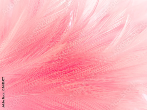 Beautiful abstract light pink feathers on white background   white feather frame texture on pink pattern and pink background  love theme wallpaper and valentines day