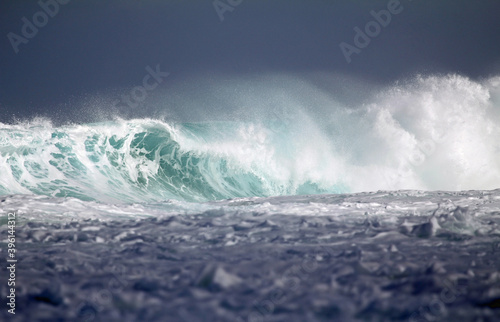 Pipe wave - Oahu, Hawaii