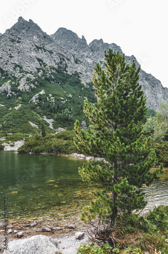 landscape with lake