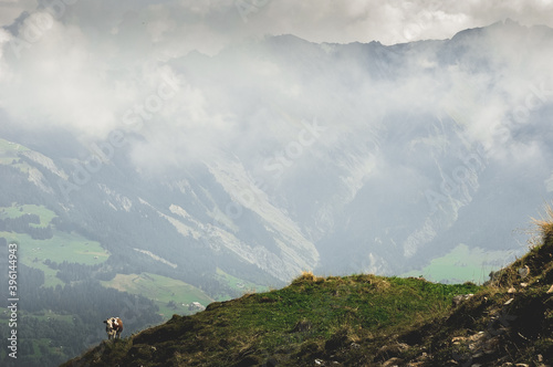 view from the top of the mountain