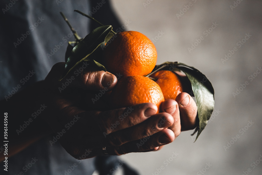 Ripe juicy sweet orange mandarins in a human hand against a dark background. Ripe juicy sweet orange mandarins in a human hand against a dark background.