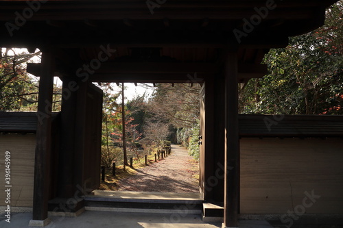 Fototapeta Naklejka Na Ścianę i Meble -  円成寺の入口