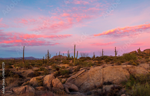 Classic Arizona Desert Landscape With Cactus At Dusk photo