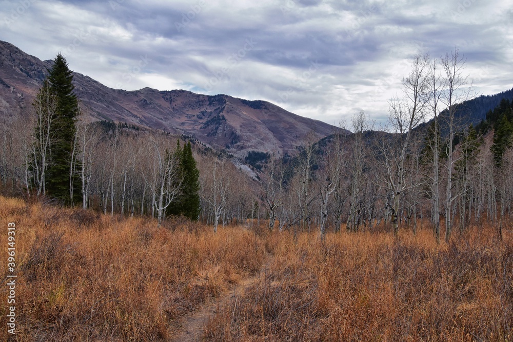 Provo Peak mountain views looking up to the top from Rock Canyon by Slide Canyon, Slate Canyon, Wasatch Front Rocky Mountain Range, Utah. United States. 