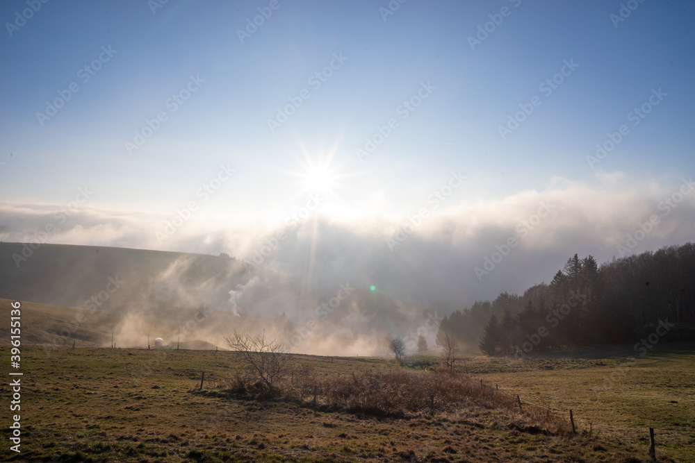 Fototapeta premium Nebel im Schwarzwald bei Sonnenschein
