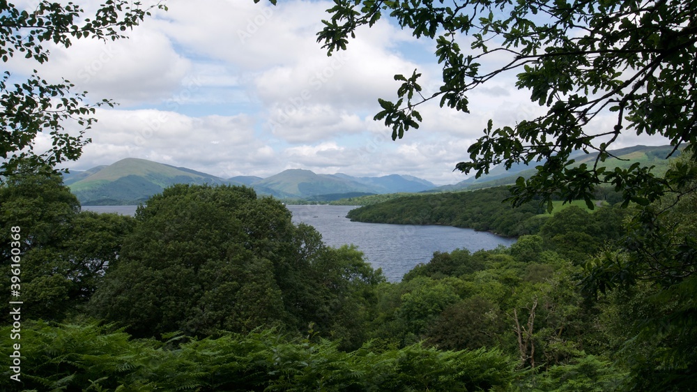 beautiful view of Loch Lomond national park over fresh green landscape