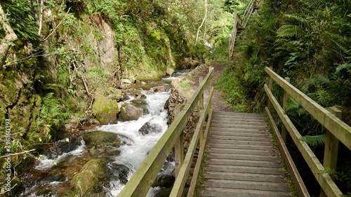 Wooden bridge over a wild stream in a valley  Alva Glen  Scotland