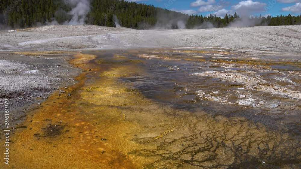 Algae-bacterial mats. Hot thermal spring, hot pool in the Yellowstone National park. Wyoming, USA Algae-bacterial mats. Hot thermal spring, hot pool in the Yellowstone National park. Wyoming, USA