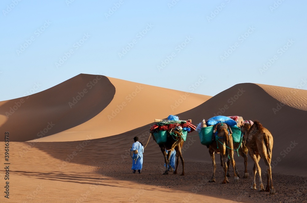 Kamel Karawane in der Wüste