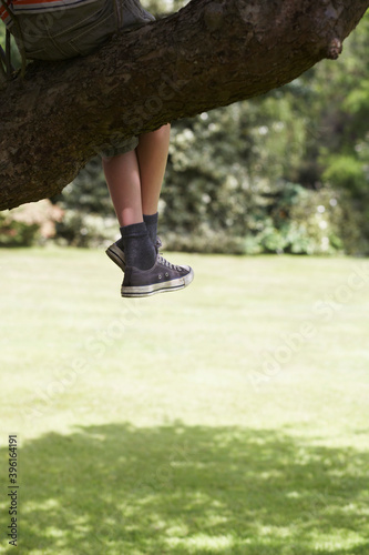 Lowsection Of Boy Sitting On Branch