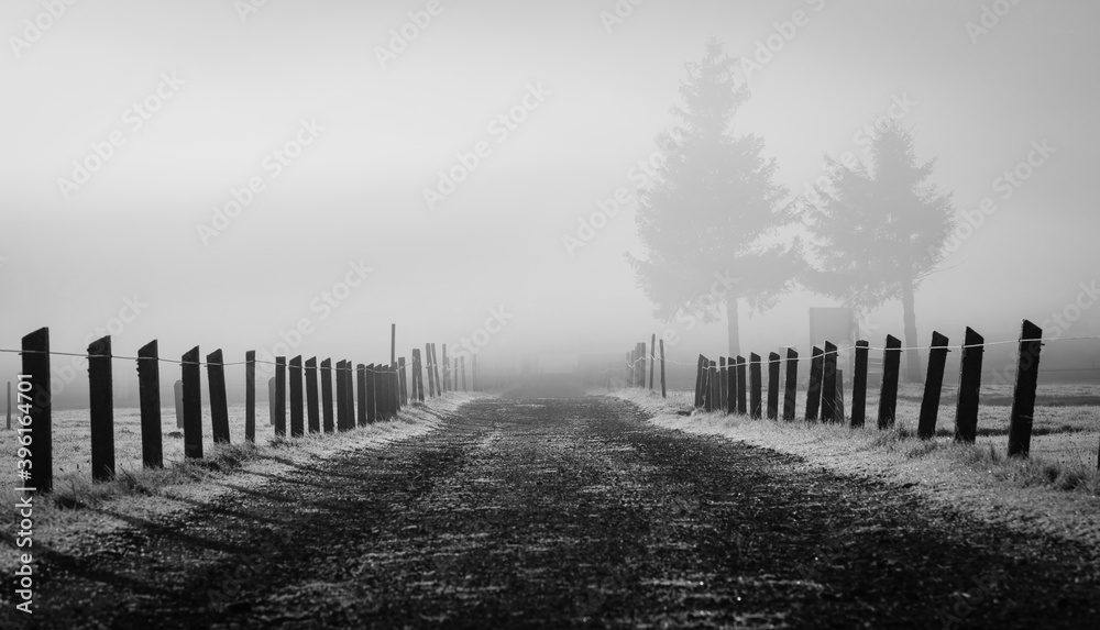 Obraz premium B&W pathway