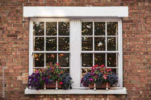 the windows of a victorian house with window boxes and bright flowers photo