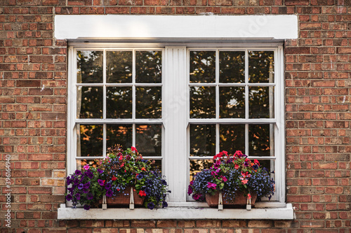 the windows of a victorian house with window boxes and bright flowers