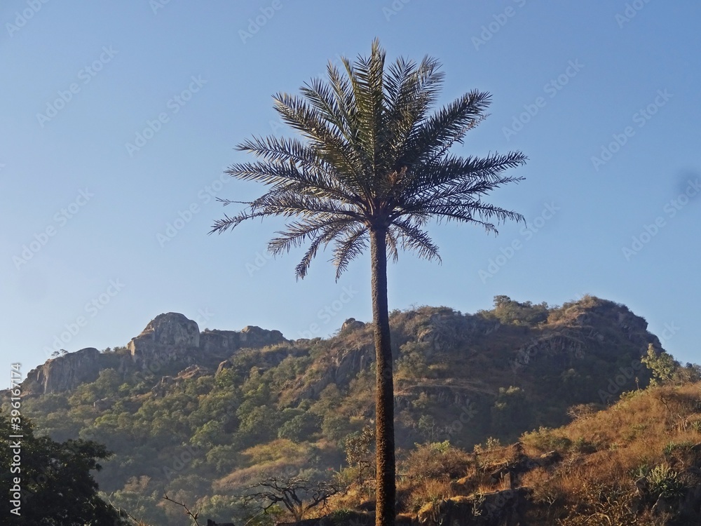 beauty of mount abu hill station,rajasthan,india beauty of mount abu hill station,rajasthan,india