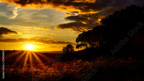 Puesta de sol en el campo con el sol poniendose en el horizonte, árboles, plantas y tierra roja de la zona de Riaza en Segovia.
 photo