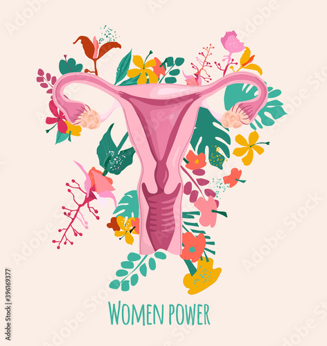 Healthy female reproductive system with floral background.Uterus and cervix anatomy.Ovary with medinilla blossoms.International women day and girl power postcard.Fallopian tubes with lotus.Vector