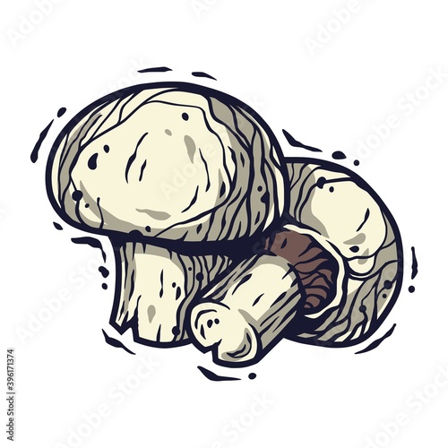 Vector illustration of champignon. Autumn mushroom picking for vegan food and cooking design