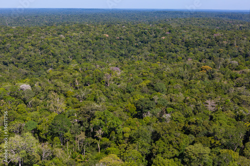 Aerial photo of the Brazilian Amazon rainforest canopy from the top of a scientific tower station in the middle of Amazonas estate. 