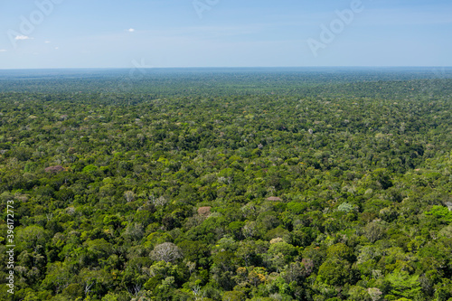 Aerial photo of the Brazilian Amazon rainforest canopy from the top of a scientific tower station in the middle of Amazonas estate. 
