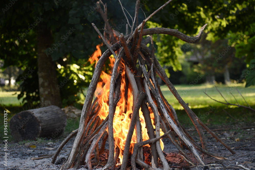 campfire in the forest campfire in the forest