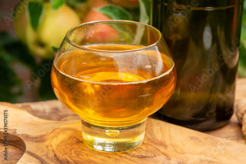 Glass of apple cider from Normandy, France and green apple tree with ripe red fruits on background