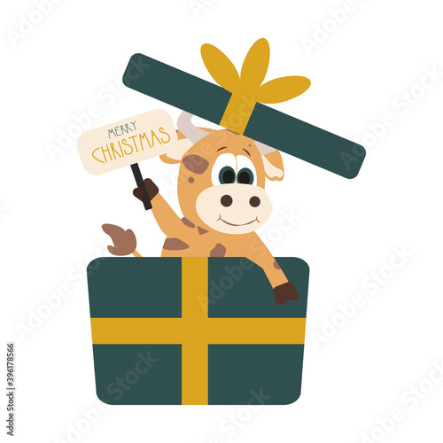 Christmas and New Year greeting card concept. Year of the bull 2021, 2033. Bull in a gift box