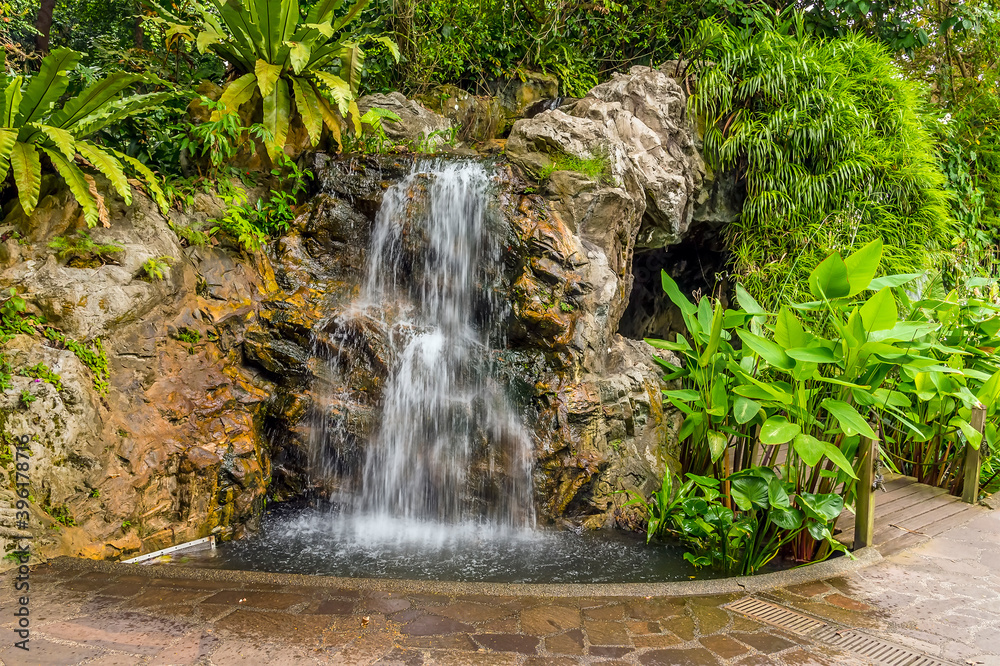 Naklejka premium A long exposure view of a waterfall in the Botanical Gardens in Singapore, Asia