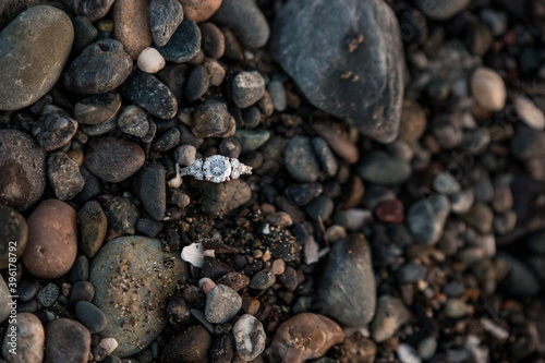 Round Diamond Engagement Ring Surrounded by Smooth Beach Sand and Rocks