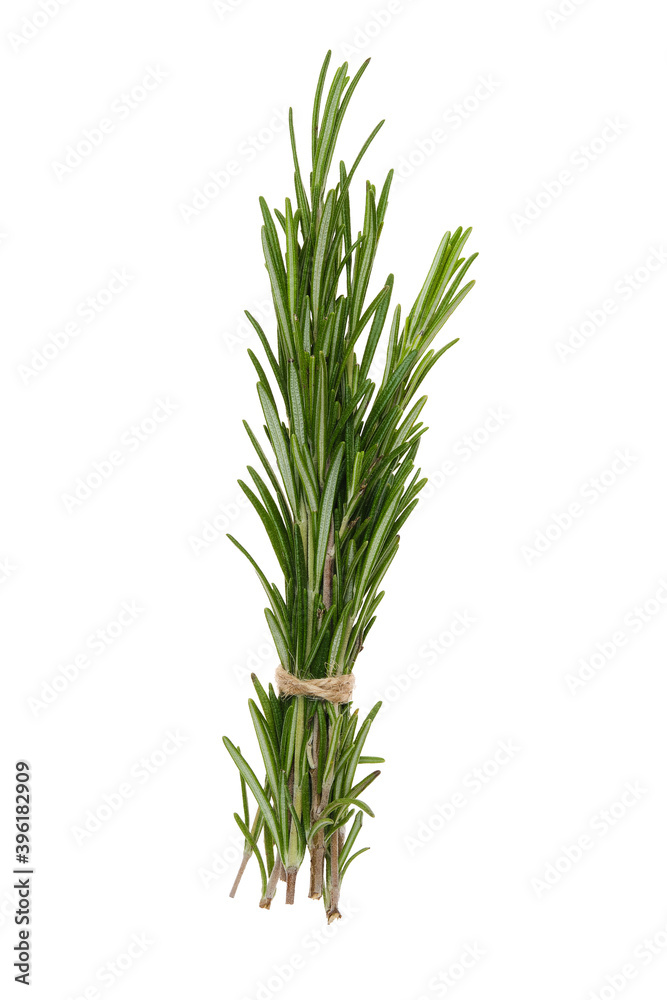 A branch of rosemary tied with twine isolated on white