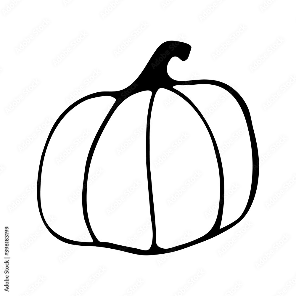 Single hand drawn pumpkin for greeting cards, posters, recipe, culinary design. Isolated on white background. Doodle vector illustration. Single hand drawn pumpkin for greeting cards, posters, recipe, culinary design. Isolated on white background. Doodle vector illustration.