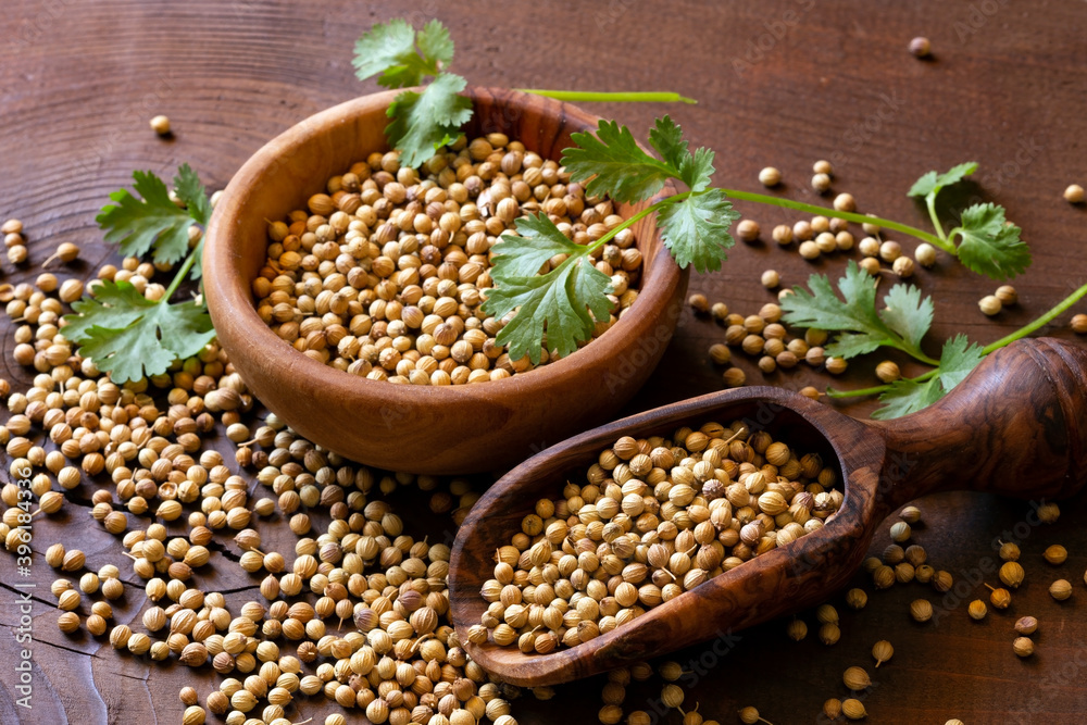 Coriander