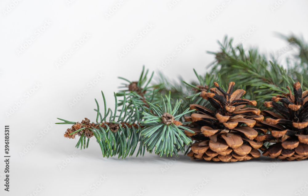 Closeup of Christmas composition of fir branch and pine cone located on the right on white background. Merry Christmas card. Winter holiday xmas theme. Happy New Year. Space for your text. Closeup of Christmas composition of fir branch and pine cone located on the right on white background. Merry Christmas card. Winter holiday xmas theme. Happy New Year. Space for your text.