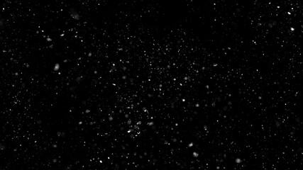 Winter Background with Falling Snow Isolated on Black Background