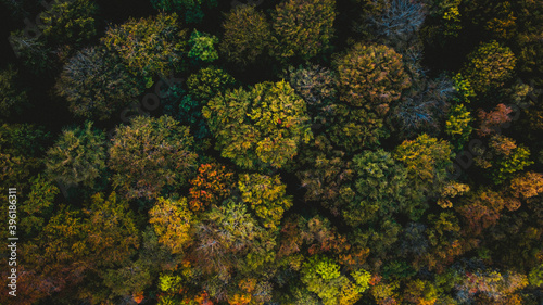 Aerial photography of Aarhus forrest