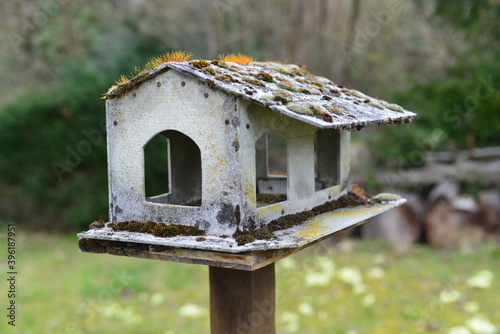 Small birdhouse on a pole in a garden
