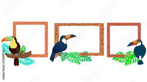 オオハシのイラストフレーム素材セット