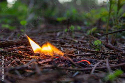 Burning match in dry forest. Danger of forest fire. Protecting environment from flames © Komarov Dmitriy