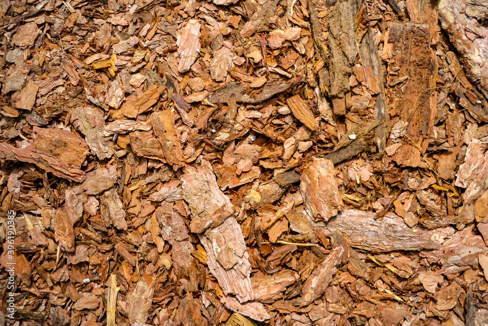 Background from the remains of wood scattered on the ground. Background from the remains of wood scattered on the ground.